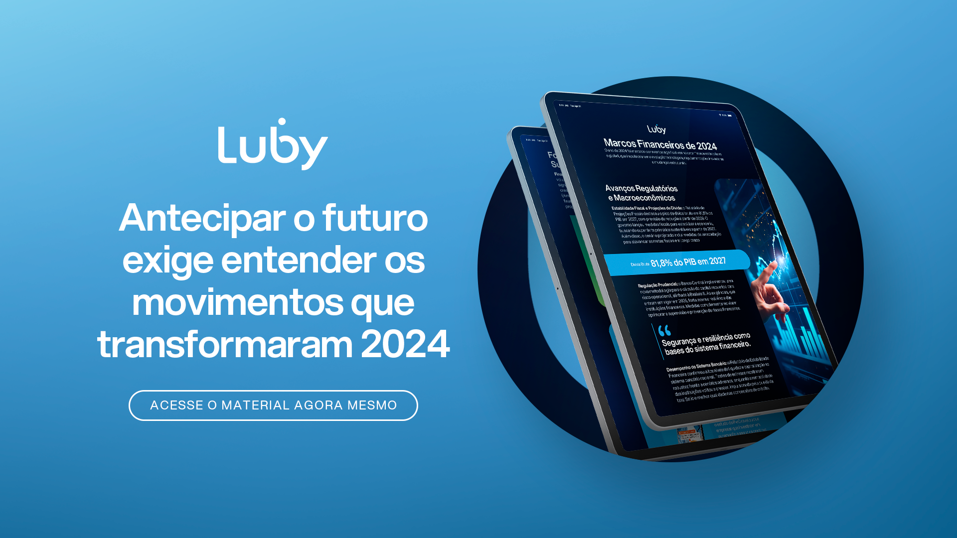 Divulgação Infográfico setor financeiro 2024.