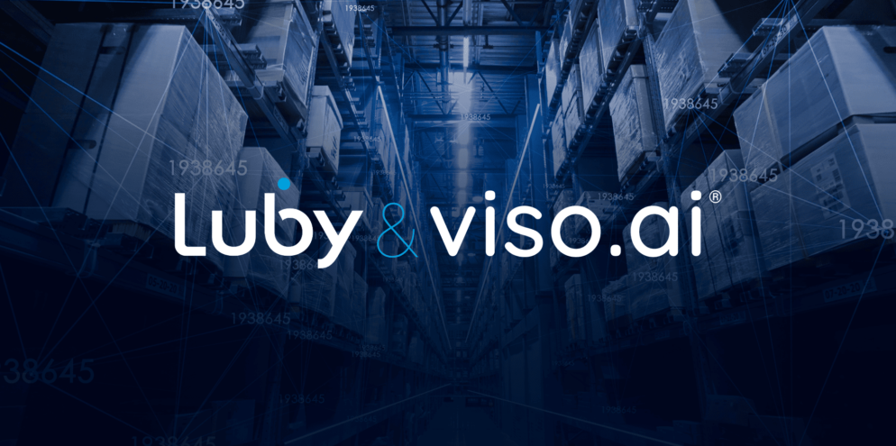 Visão Computacional da Luby & viso.ai